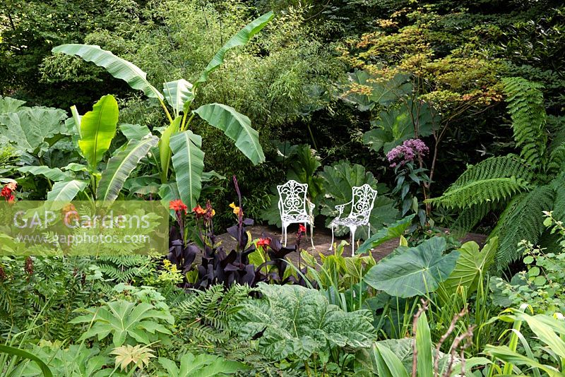 Vue sur un espace aménagé avec des sièges dans un jardin subtropical