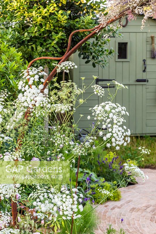 Ammi majus poussant à côté de l'arche en métal rouillé avec vue sur le jardin de campagne et au-delà de la remise. Le jardin Naturecraft - Festival des fleurs de Hampton Court 2019