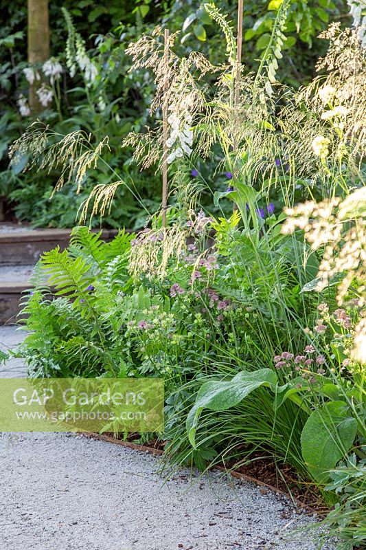 Vue le long du chemin compacté avec bordure en acier vers des marches avec parterres de fleurs naturalistes. Jardin Stop and Pause, Festival des fleurs de Hampton Court, 2019.