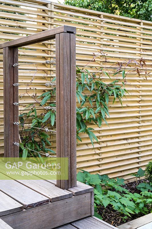 Terrasse en bois surélevée avec fil de tension en acier inoxydable et système de rails, dans un petit jardin londonien moderne par Earth Designs.