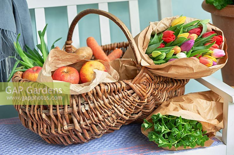 Panier avec pommes, carottes, oignons nouveaux, menthe verte et tulipes enveloppées exposées sur un banc.