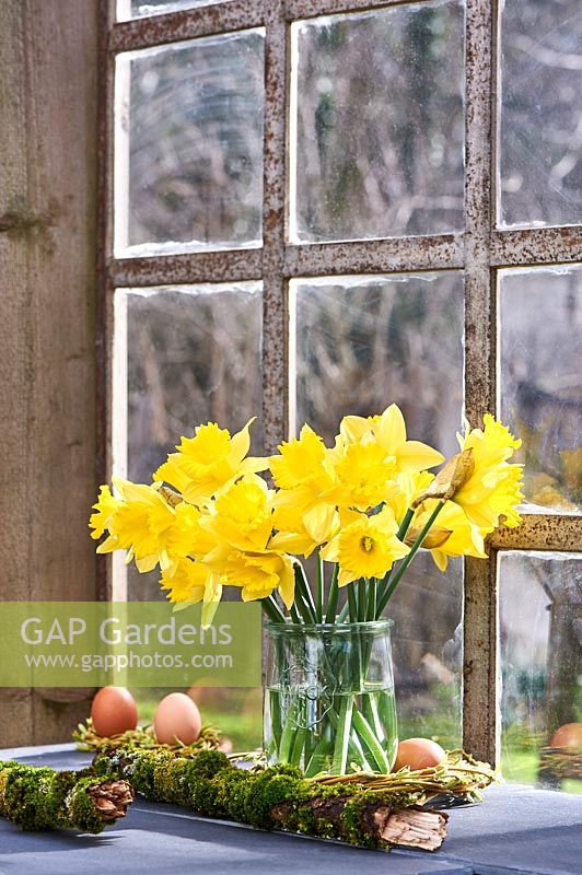 Narcisse - jonquilles affichées dans un vase sur le rebord de la fenêtre.