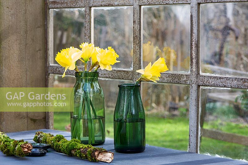Narcisse - jonquilles affichées dans des vases en verre sur le rebord de la fenêtre.