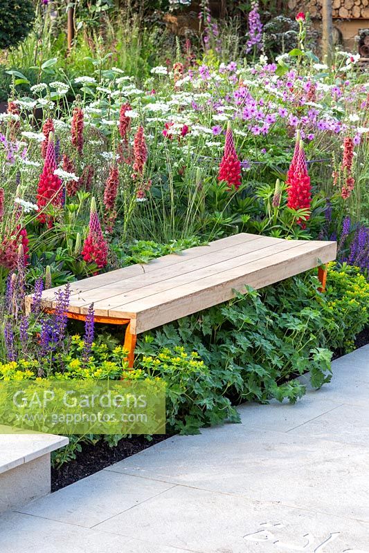 Banc en bois en parterre de fleurs avec Lupinus 'Beefeater', RHS Greening Grey Britain pour la santé, le bonheur et l'horticulture.