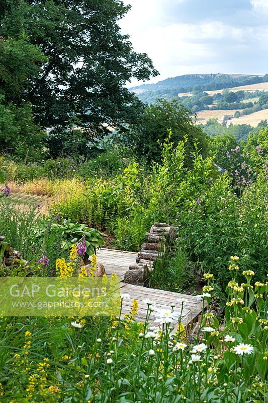 Un jardin de campagne planté de manière naturaliste avec un chemin en bois à travers des parterres de fleurs.