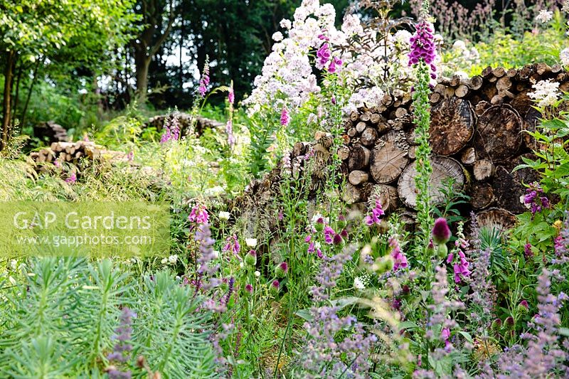 Un mur en rondins respectueux des insectes et de la faune dans des parterres de fleurs naturalistes plantés de digitales, d'allium et de menthe à chat.