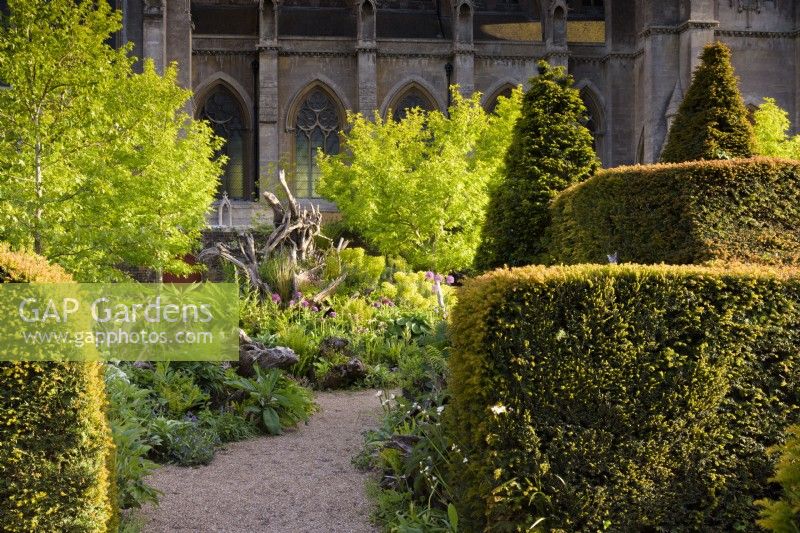 La Stumpery au château d'Arundel en mai, où les souches d'arbres sculpturales sont entourées de plantations luxuriantes comprenant des fougères, des alliums, des euphorbes, des hostas et des liquidambars, encadrées par une haie d'ifs et avec en toile de fond la cathédrale d'Arundel.