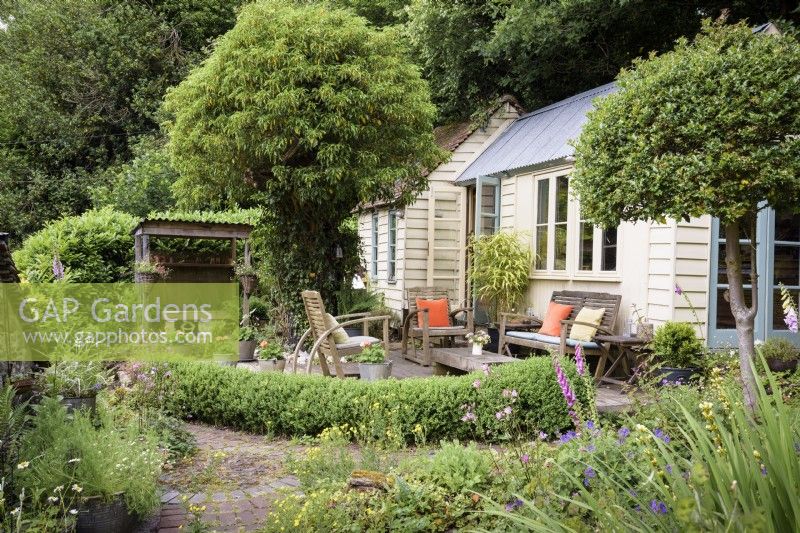 Studio de jardin d'architecte avec coin salon extérieur encadré de houx standard, de haies et de lierre taillé dans un jardin de cottage en juin