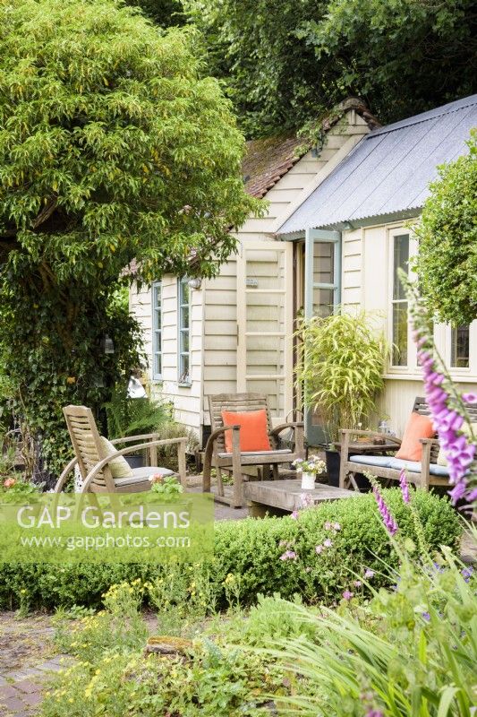 Studio de jardin d'architecte avec coin salon extérieur encadré de houx standard, de haies et de lierre taillé dans un jardin de cottage en juin.