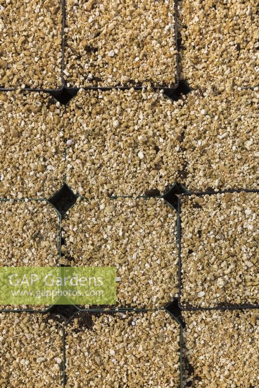 Des rangées de bacs de plantation en plastique recouverts d'une couche de vermiculite, Québec, Canada