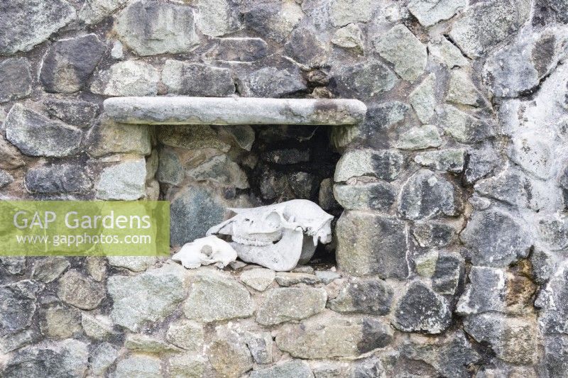 Crânes d'animaux dans une alcôve dans un mur de pierre