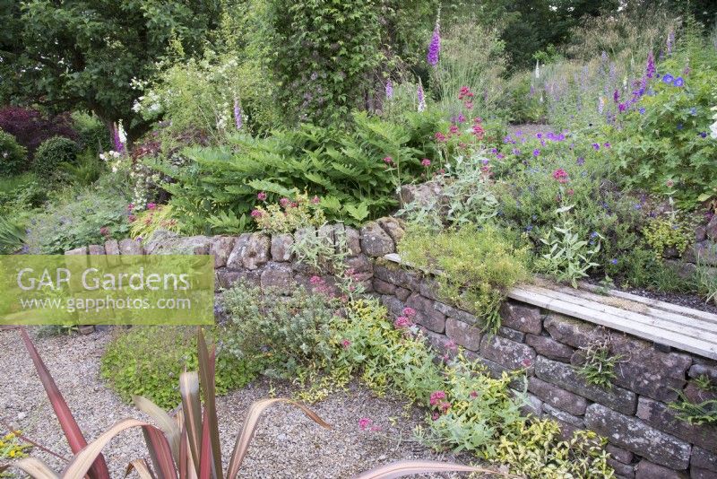 Mur de soutènement en pierre avec banc, gravier avec Centranthus ruber - Valériane rouge - Campanule et Phormium 'Margaret Jones'
