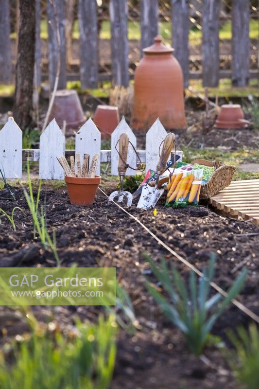 Ligne de jardin et sachets de graines de carottes, prêtes à semer dans un parterre de fleurs.