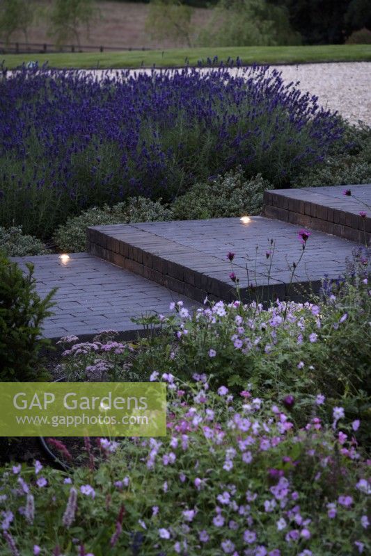 Jardin contemporain au crépuscule avec des lumières incrustées dans les marches des pavés en briques de Lucca entourés de plantations violettes et roses de lavande, de sauges et de géraniums en juillet