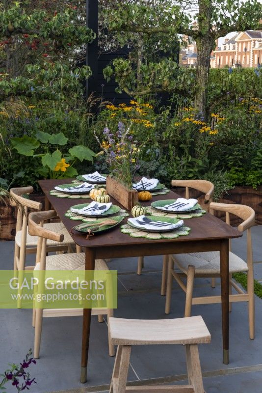 Le Parsely Box Garden est conçu pour les réceptions en plein air. La table sur la terrasse entourée d'arbres fruitiers en espalier, Malus 'Evereste' et Prunus lusitanica qui sont sous-plantés d'herbes, de courgettes et de Rudbeckia fulgida Goldsturm.