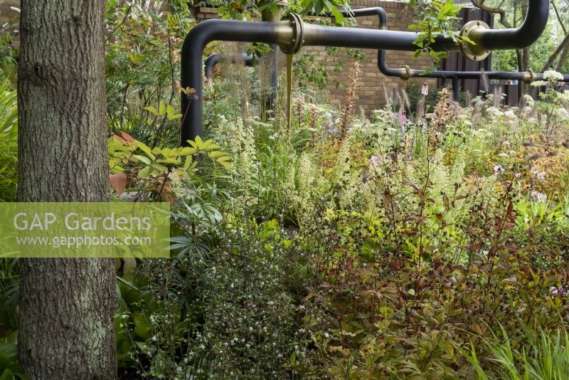 M and G Garden, transforme une friche urbaine en incorporant les anciens tuyaux ramollis par les plantes.