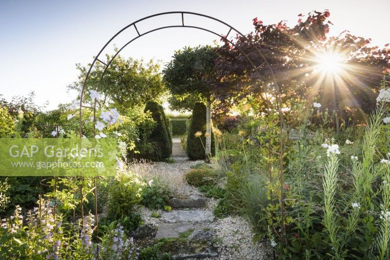 Jardin de gravier en juillet avec plantes herbacées et conifères taillés encadrés d'une arche métallique.