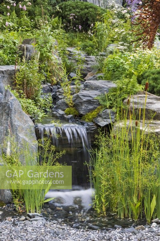 La cascade tombe en cascade sur les rochers avec un vert calme, des plantations l'entourant. Les plantes de premier plan comprennent le plantain aquatique Alisma plantago-aquatica, le scirpe Typha lugdunensis et la fougère Dryopteris filix-mas. Prison de Bodmin : 60 degrés Est - Un jardin entre les continents.