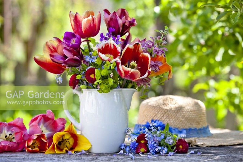Pot de fleurs printanières - tulipes, bellis, euphorbe, oubliez-moi pas, honnêteté et lamier rouge.