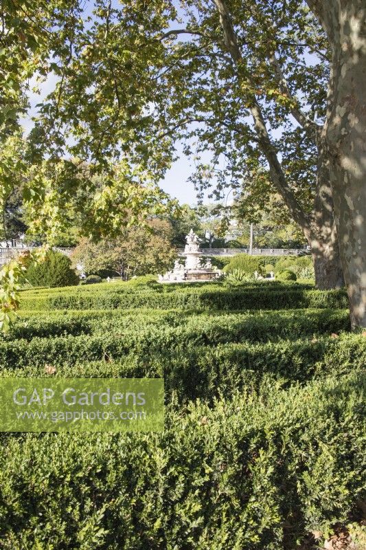 Haies de buis dans le parterre et vue sur la fontaine. Ajuda, Lisbonne, Portugal, septembre.