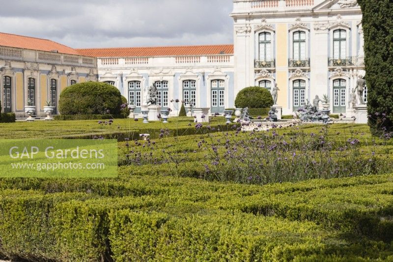 Vue sur les bâtiments du palais à travers le jardin de Malte. Haies basses de buis taillés. Queluz, Lisbonne, Portugal, septembre.