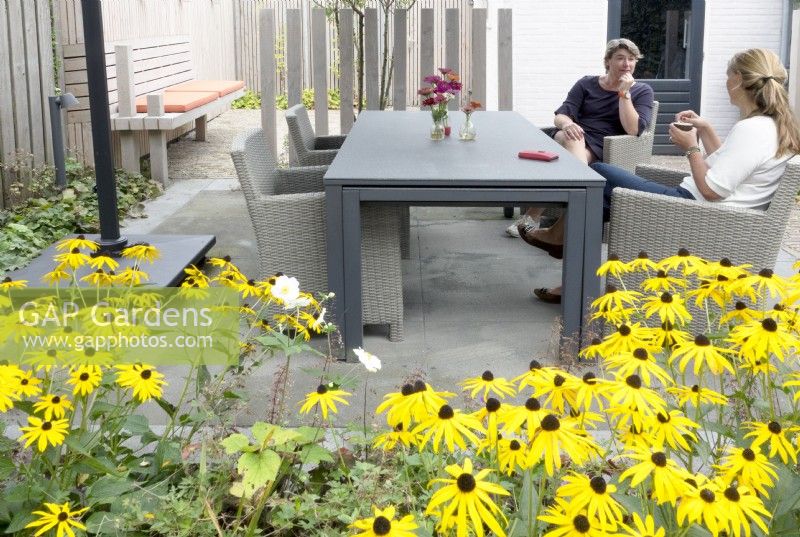 Les femmes étaient assises près d'une table moderne dans un petit jardin urbain avec Rudbeckia en premier plan.