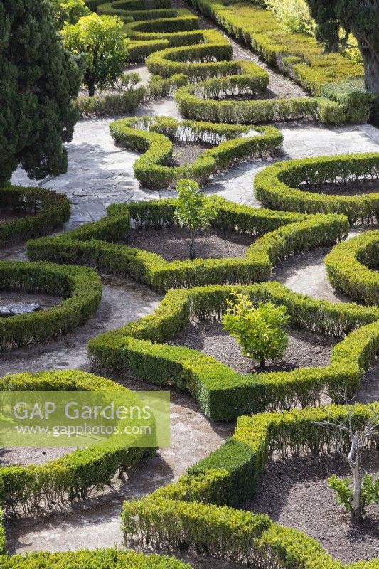 Vue sur le jardin du vieux labyrinthe. Haies basses de buis taillés avec plantation de grenadiers en massifs à l'intérieur des haies. Queluz, Lisbonne, Portugal, septembre.