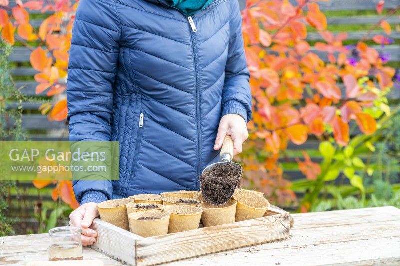 Femme remplissant des pots de formation de racines de fibres avec du compost