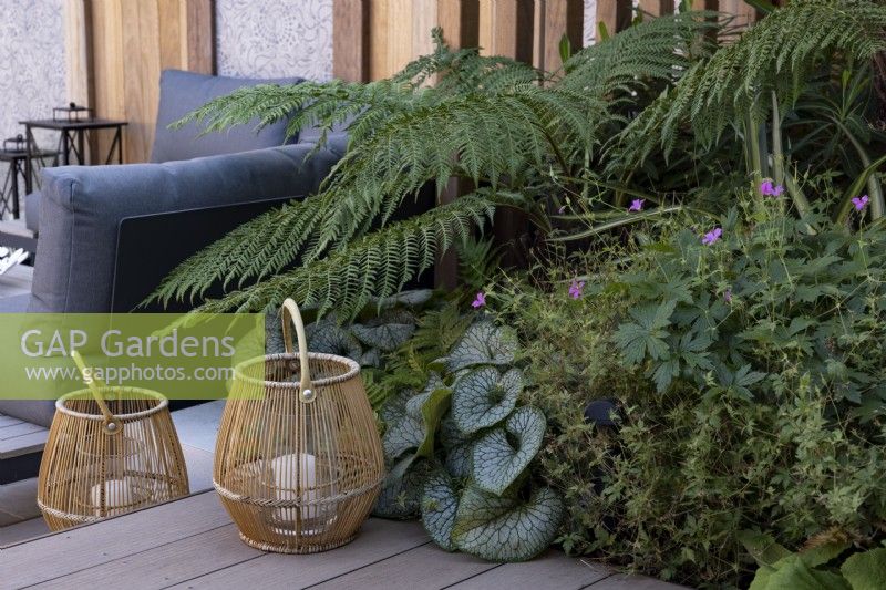 terrasse en bois avec bougeoirs décoratifs en canne. Parterre de fleurs comprend Brunnera 'Jack Frost' et fougère, Polystichum polyblepharum