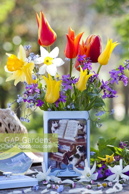 Bouquet de fleurs printanières dans une boîte en fer blanc - tulipes, jonquilles, ne m'oubliez pas et honnêteté.