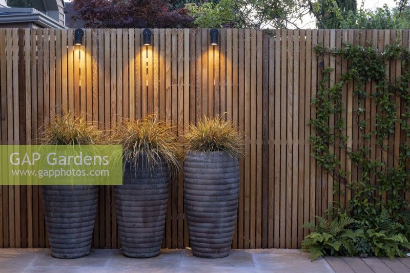 Carex 'Everest' dans de grands pots illuminés par un éclairage de jardin sur une clôture à lattes