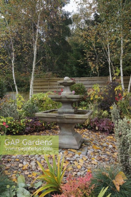 Jardin d'automne avec fontaine carrée en pierre à plusieurs niveaux entouré de galets et Betula utilis var 'Jacquemontii', - octobre