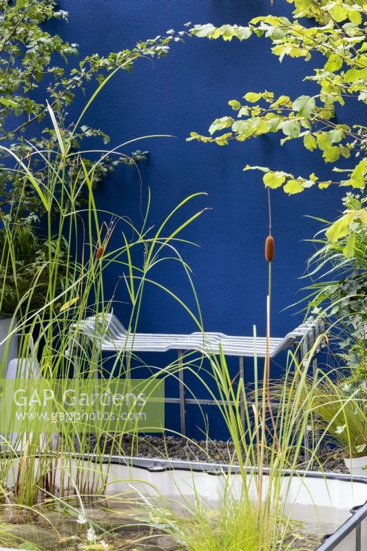 Petit étang et banc contemporain en métal dans une petite cour-jardin avec murs peints en bleu, RHS Chelsea Flower Show 2021, IBC Pocket Forest