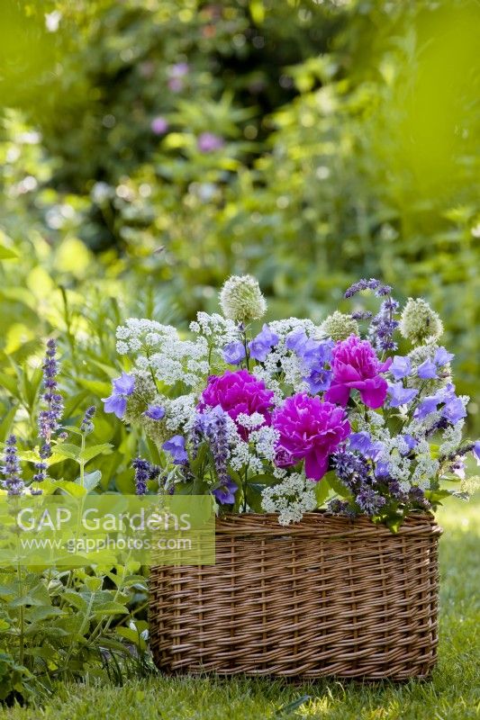 Composition florale en boîte tissée comprenant pivoine, berce du Caucase, campanule et sauge.