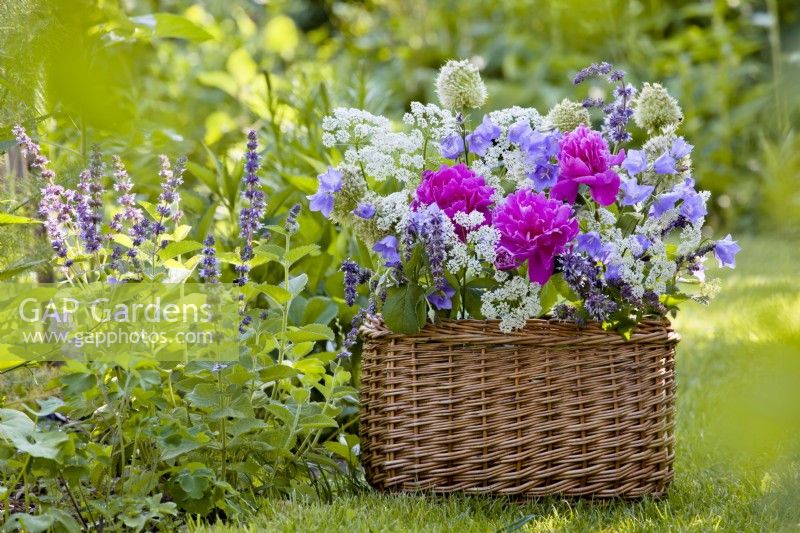 Composition florale en boîte tissée comprenant pivoine, berce du Caucase, campanule et sauge.