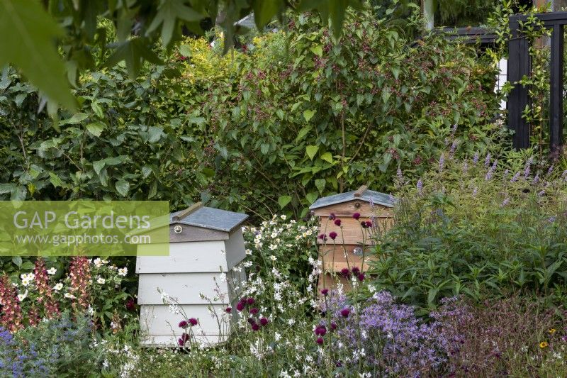 Ruches d'abeilles et plantation de prairies en parterre de fleurs. RHS Chelsea Flower Show 2021, RHS Cop 26 Jardin