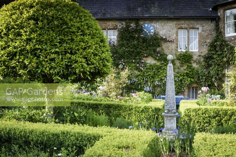 Jardin de cour formel avec haies de buis et lauriers portugais taillés, Prunus lusitanica, autour d'un obélisque central à l'ancien presbytère, Netherbury, Dorset en mai