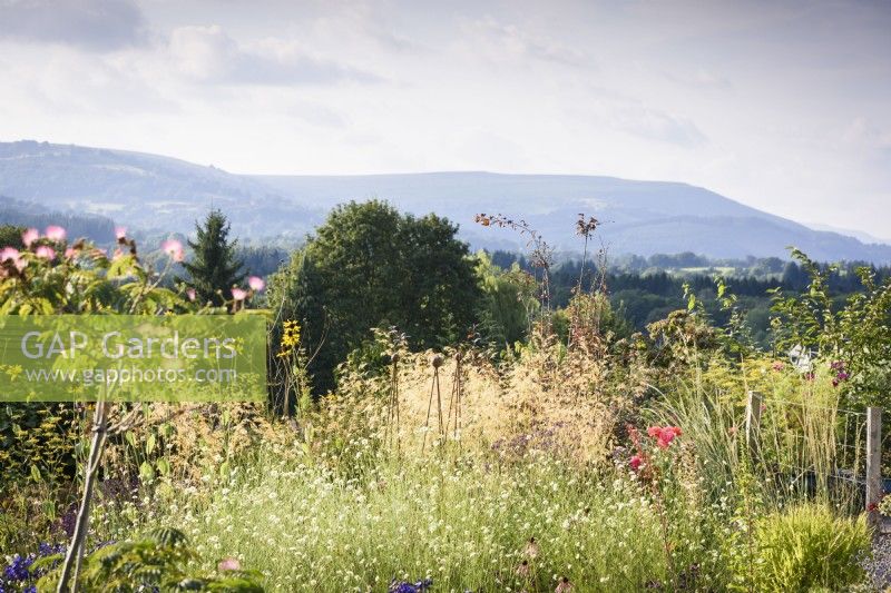 Jardin de gravier rempli de plantes herbacées vivaces et de graminées, avec vue sur les collines du Monmouthshire au-delà à Highfield Farm en août.