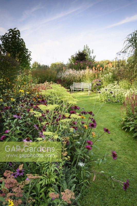 Parterre plein de plantes herbacées vivaces et graminées à Highfield Farm en août, y compris patrinia et échinacées.