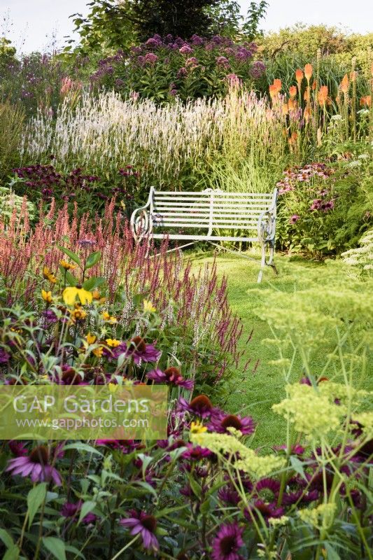 Banc en métal entouré de parterres remplis de plantes herbacées vivaces à Highfield Farm en août.