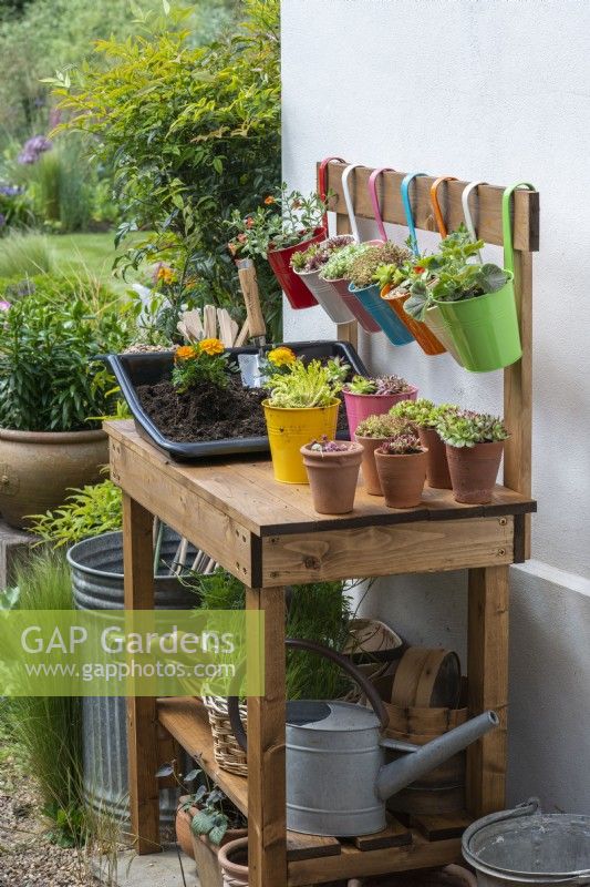 Un banc de travail en bois fait maison est idéal pour rempoter et exposer les plantes succulentes dans des seaux en métal suspendus.