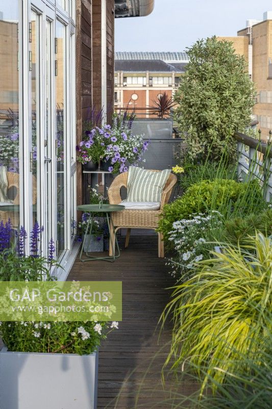Un balcon étroit est bordé de jardinières composées principalement d'arbustes et d'arbres à feuilles persistantes, avec des touches de couleur provenant d'annuelles et de vivaces.