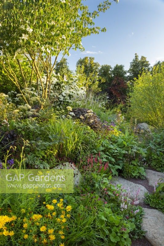 Un chemin de pierre menant à travers le jardin. RHS Garden pour un avenir vert. Conçu par Jamie Butterworth. RHS Hampton Court Palace Garden Festival Show, juillet 2021