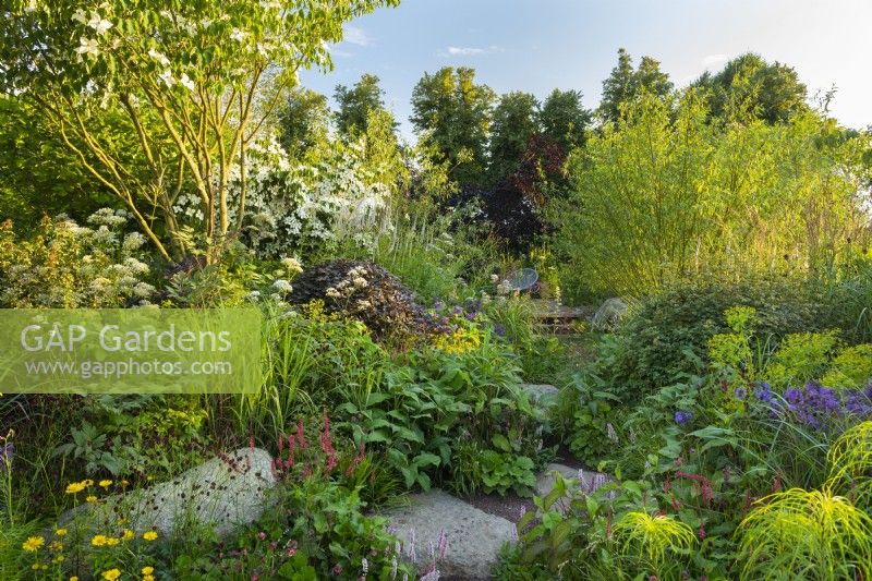 Un chemin de pierre menant à travers le jardin. RHS Garden pour un avenir vert. Conçu par Jamie Butterworth. RHS Hampton Court Palace Garden Festival Show, juillet 2021