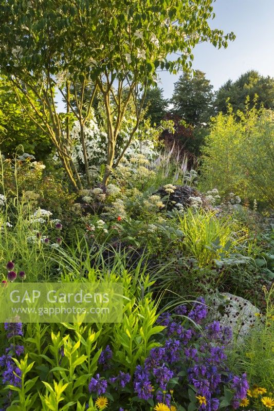 RHS Garden pour un avenir vert. Conçu par Jamie Butterworth. RHS Hampton Court Palace Garden Festival Show, juillet 2021