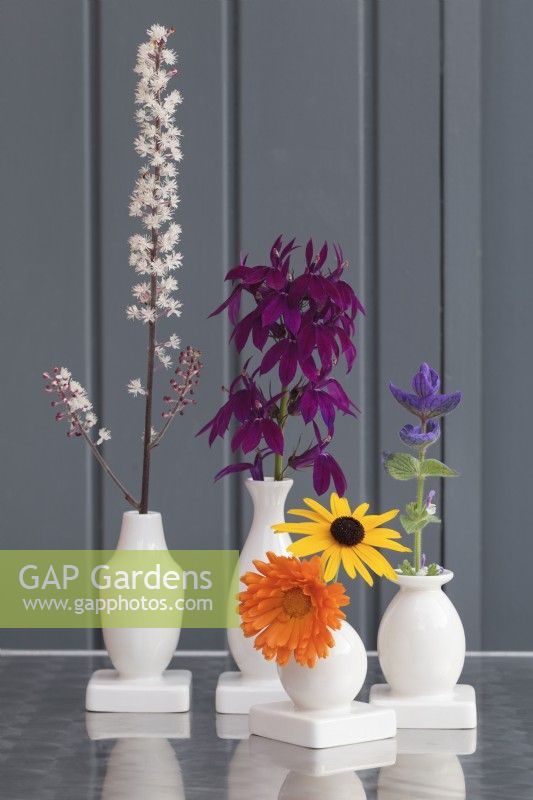 Fleurs colorées de fin d'été dans des vases à bourgeons contre un mur en bois gris - septembre