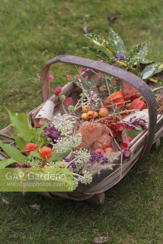 Sussex Trug de baies d'automne, seedheads, feuilles et fleurs sur la pelouse