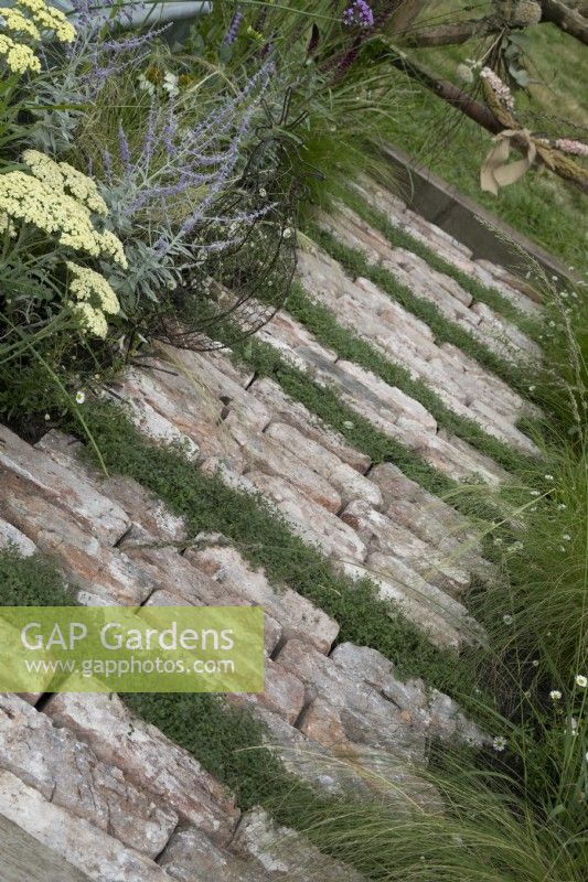 'The Earth Smiles with Flowers' au BBC Gardener's World Live 2021 - jardin de cottage avec chemin rustique en briques entrecoupées de camomille