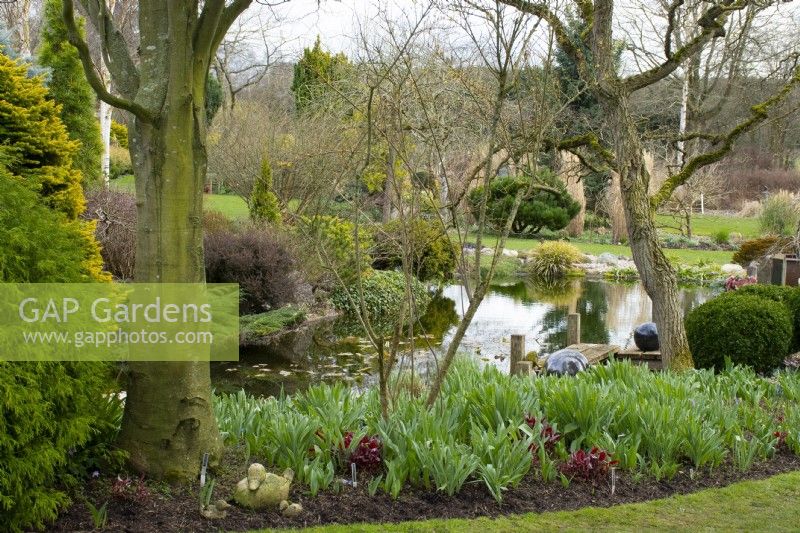 L'étang de John's Garden à Ashwood Nurseries - Kingswinford - Printemps