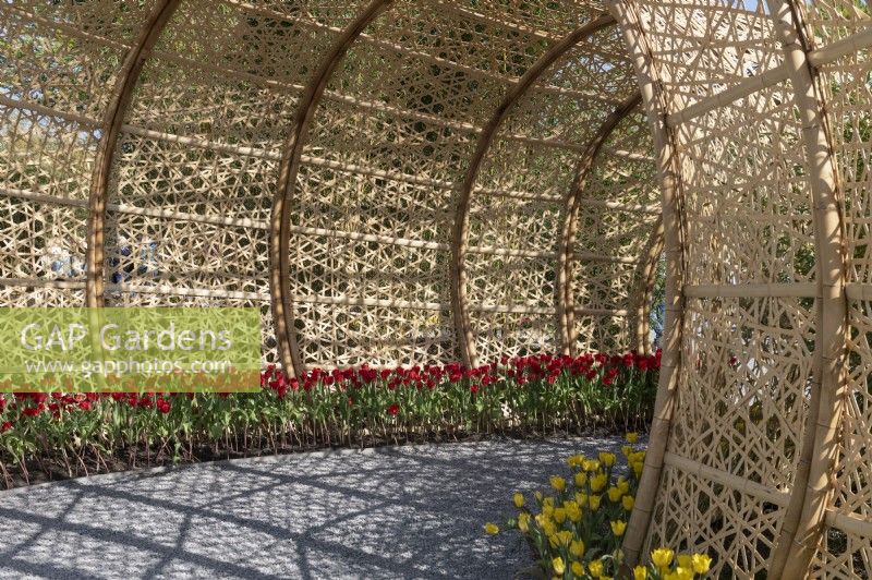 Almere Pays-Bas 19 avril 2022Floriade Expo 2022. Un festival et une exposition de jardin botanique décennal, cette année qui se déroule à Almere, Flevoland. Jardins de bambous du pavillon chinois.